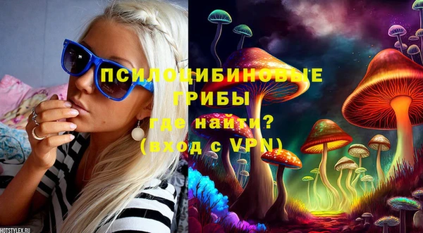 spice Арсеньев
