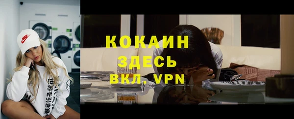spice Арсеньев