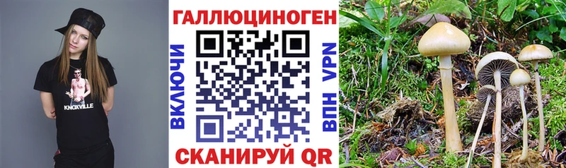 Галлюциногенные грибы прущие грибы  дарнет шоп  Лесной 