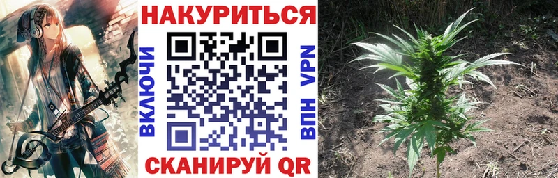 Канабис тримм  купить наркотик  Лесной 